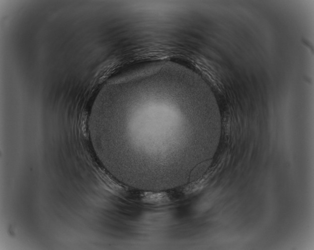 X0000095540185200712141532