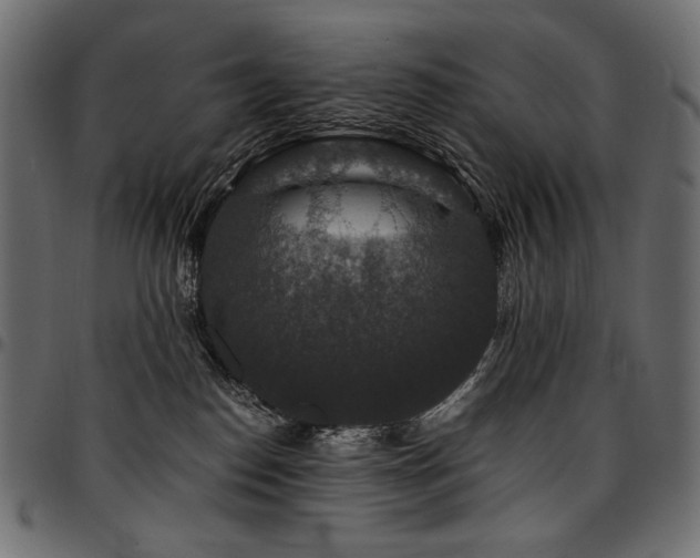 X0000095540186200712141532