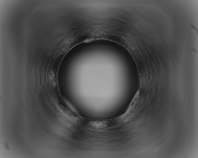 X0000095540187200712141532