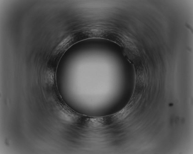 X0000095540188200712141532