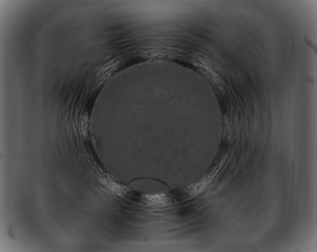 X0000095540189200712141532