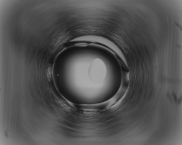 X0000095540190200712141532