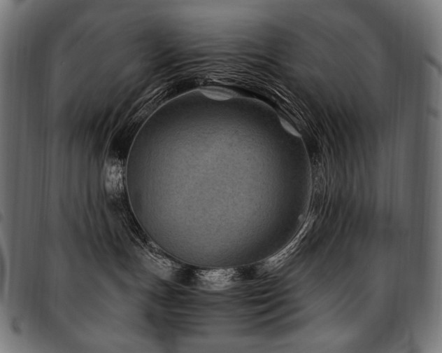 X0000095540191200712141532