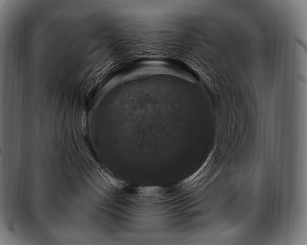 X0000095540192200712141532