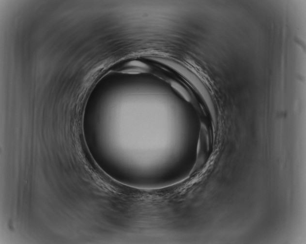 X0000095540193200712141532