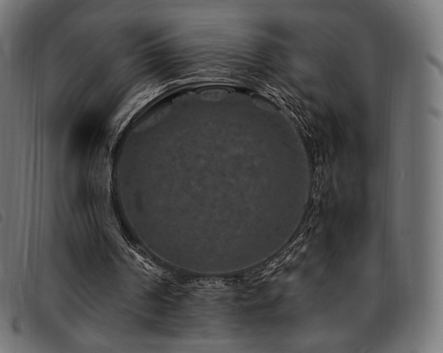 X0000095540194200712141532