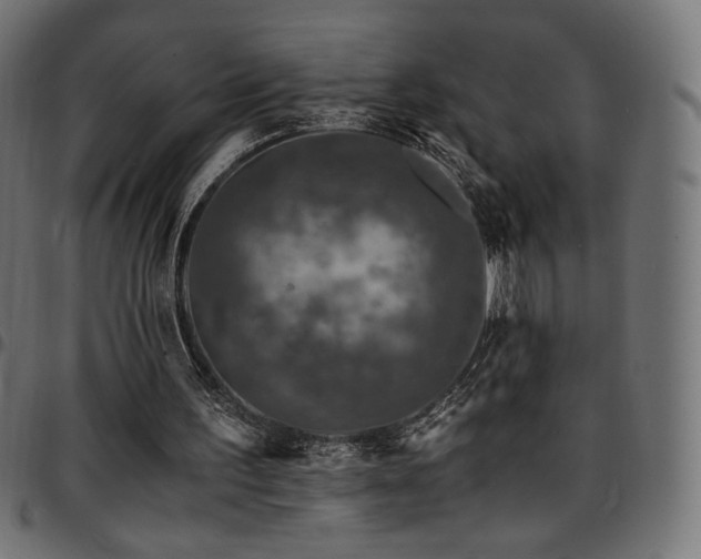 X0000095540195200712141532