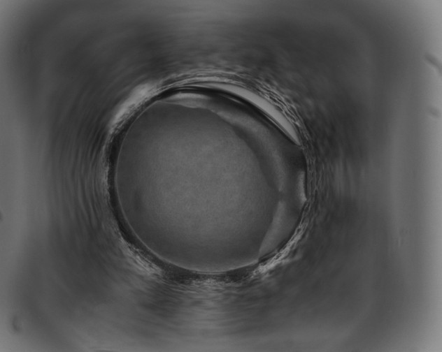 X0000095540197200712141532