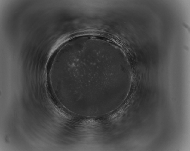 X0000095540198200712141532