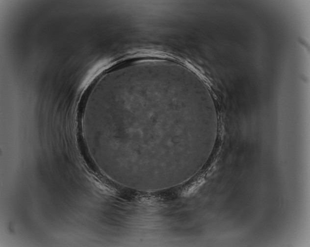 X0000095540199200712141532