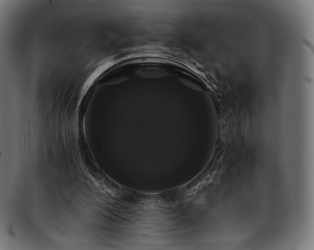 X0000095540200200712141532