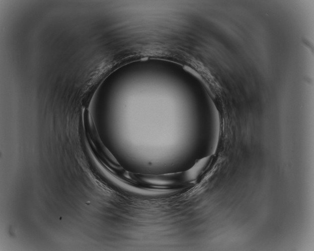 X0000095540201200712141532