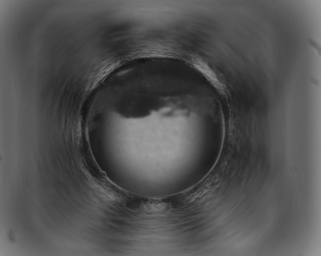 X0000095540202200712141532