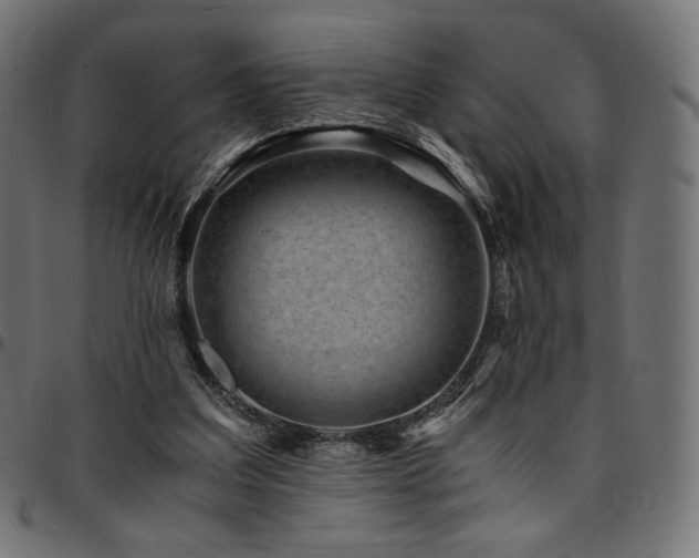 X0000095540203200712141532