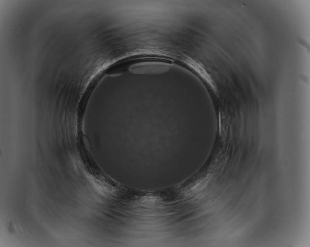 X0000095540204200712141532