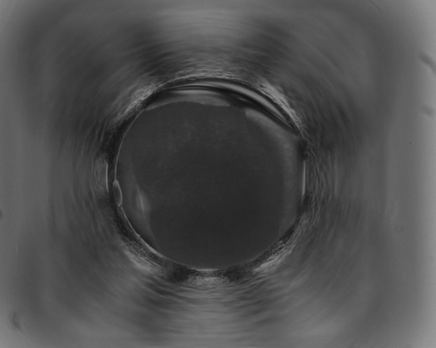 X0000095540205200712141532