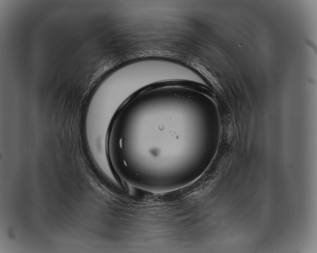 X0000095540207200712141532