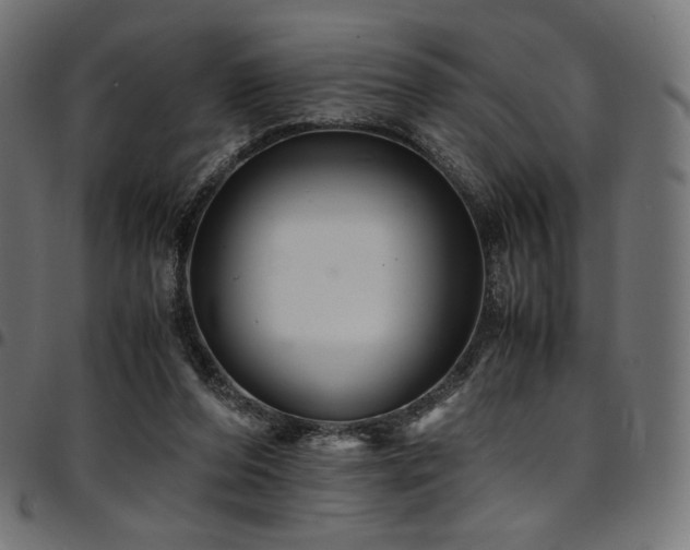 X0000095540208200712141532