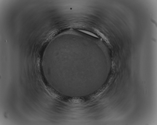 X0000095540209200712141532