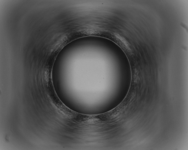 X0000095540210200712141532