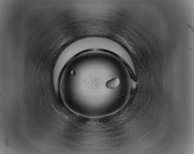 X0000095540211200712141532