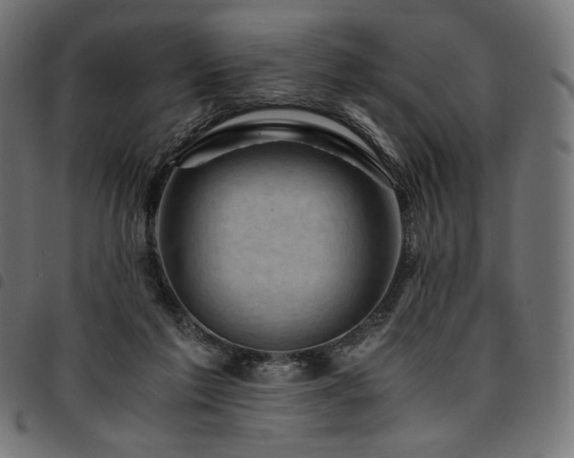 X0000095540213200712141532