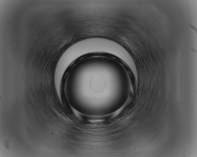 X0000095540215200712141532