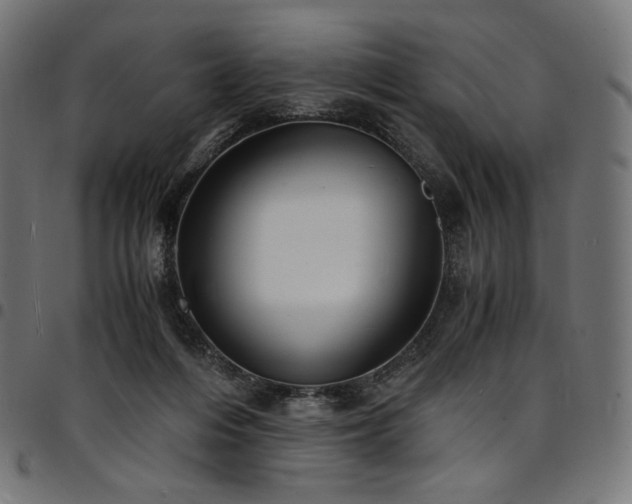 X0000095540216200712141531