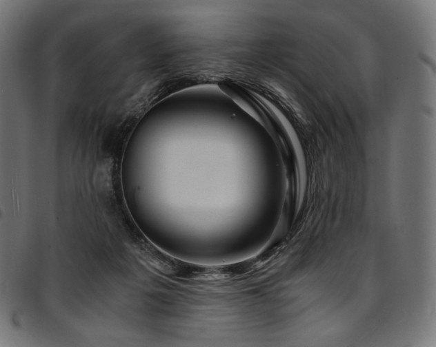 X0000095540217200712141531