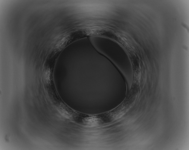 X0000095540219200712141531