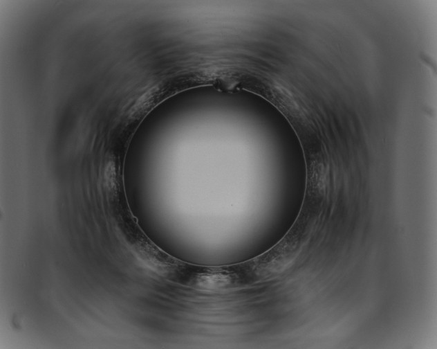 X0000095540220200712141531