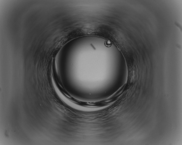 X0000095540221200712141531