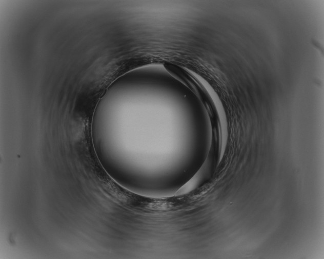 X0000095540225200712141531