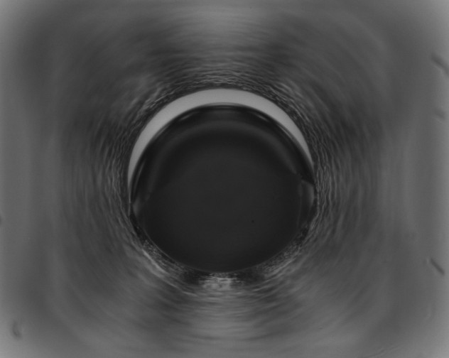 X0000095540227200712141531