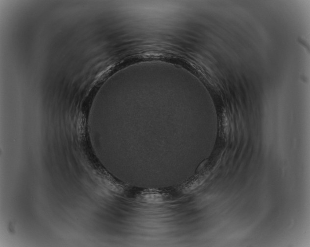 X0000095540228200712141531