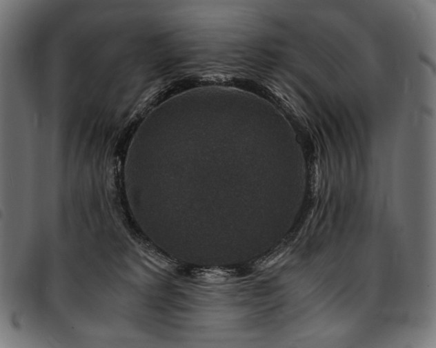 X0000095540229200712141531