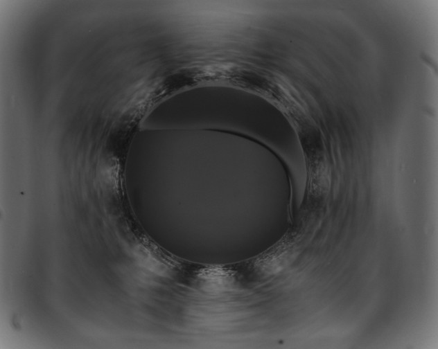 X0000095540231200712141531