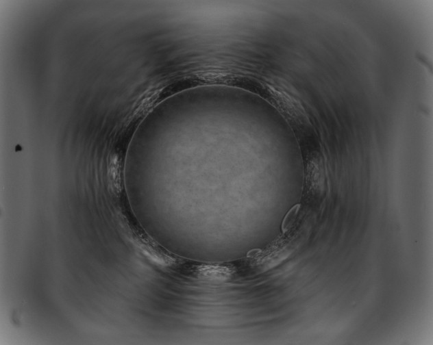 X0000095540234200712141531