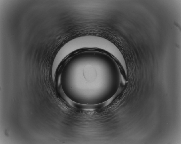 X0000095540235200712141531