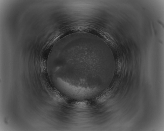 X0000095540236200712141531