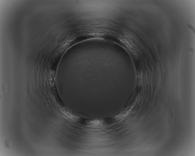 X0000095540237200712141531