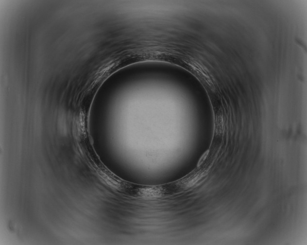 X0000095540238200712141531