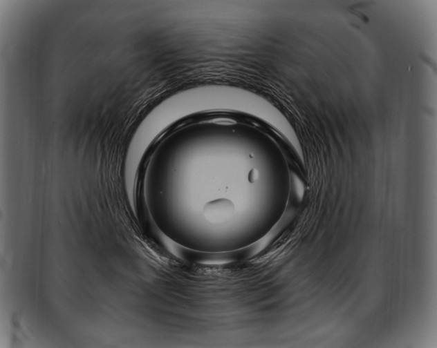 X0000095540239200712141531