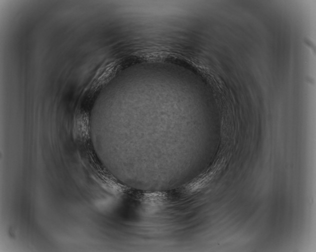 X0000095540240200712141531