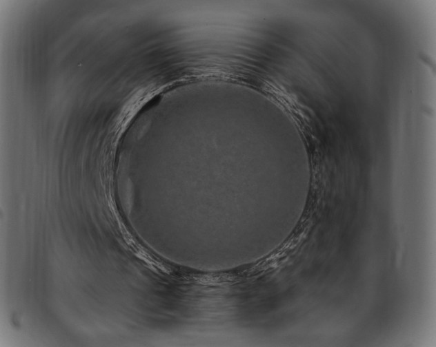 X0000095540241200712141531