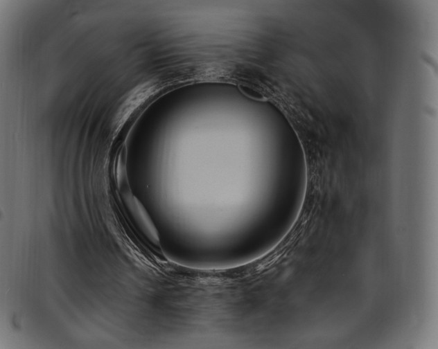 X0000095540242200712141531