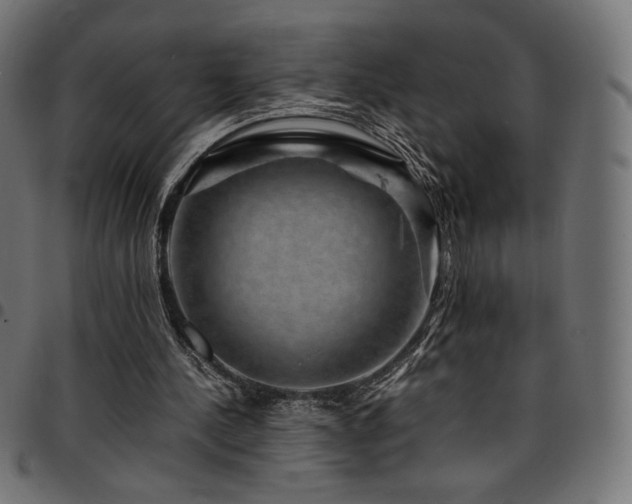 X0000095540244200712141531