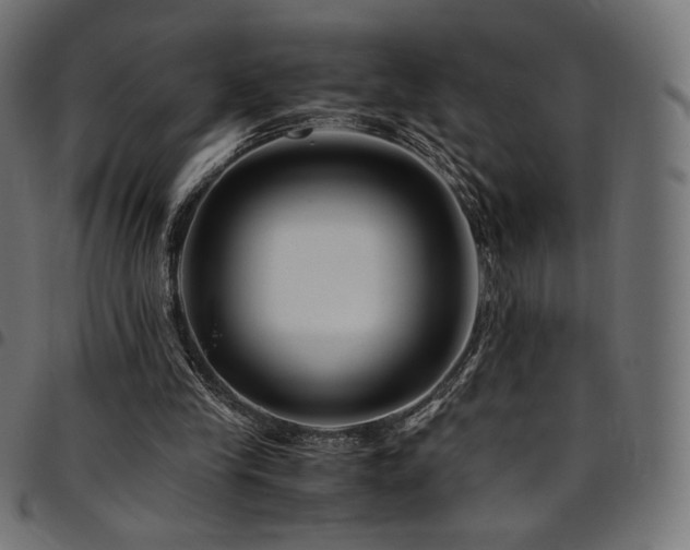 X0000095540245200712141531