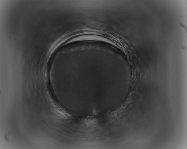 X0000095540247200712141531