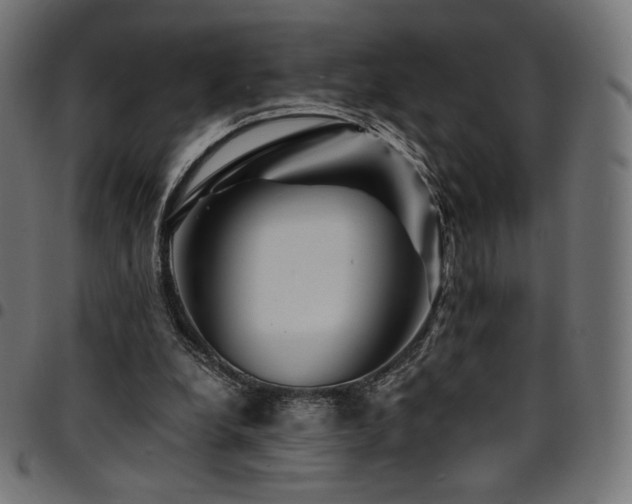 X0000095540248200712141531